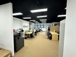 Vertex (D14), Factory #557606111